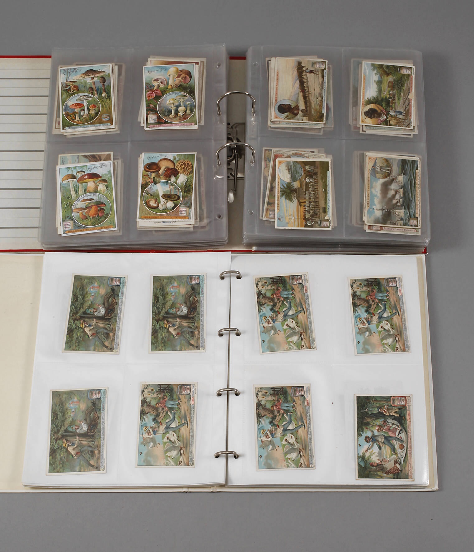 Sammlung Liebigbilder