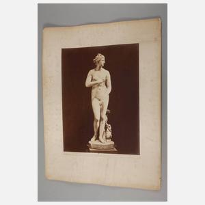 Drei großformatige Fotografien Venus Medici