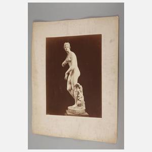 Drei großformatige Fotografien Venus Medici