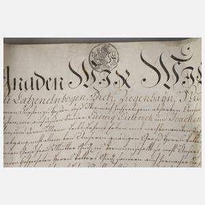 Lehensbrief Schaumburg 1753