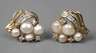 Paar Ohrstecker mit Perlen