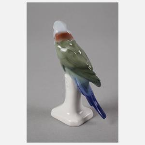 Meissen "Halsbandsittich"