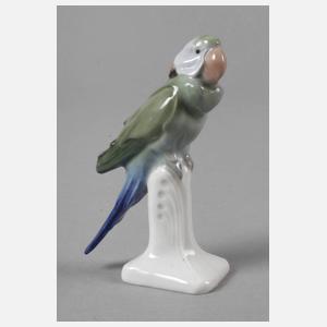 Meissen "Halsbandsittich"