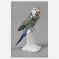 Meissen "Halsbandsittich"111