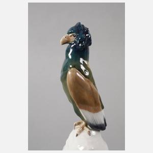 Meissen "Gaukleradler auf Felsen"