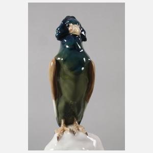 Meissen "Gaukleradler auf Felsen"