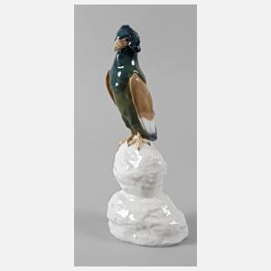 Meissen "Gaukleradler auf Felsen"