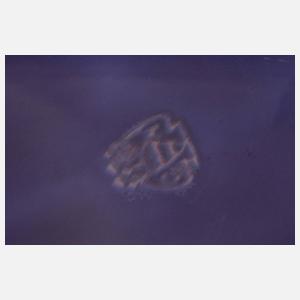 Wächtersbach Tablett Christian Neureuther