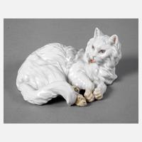 Augarten Wien Katze111