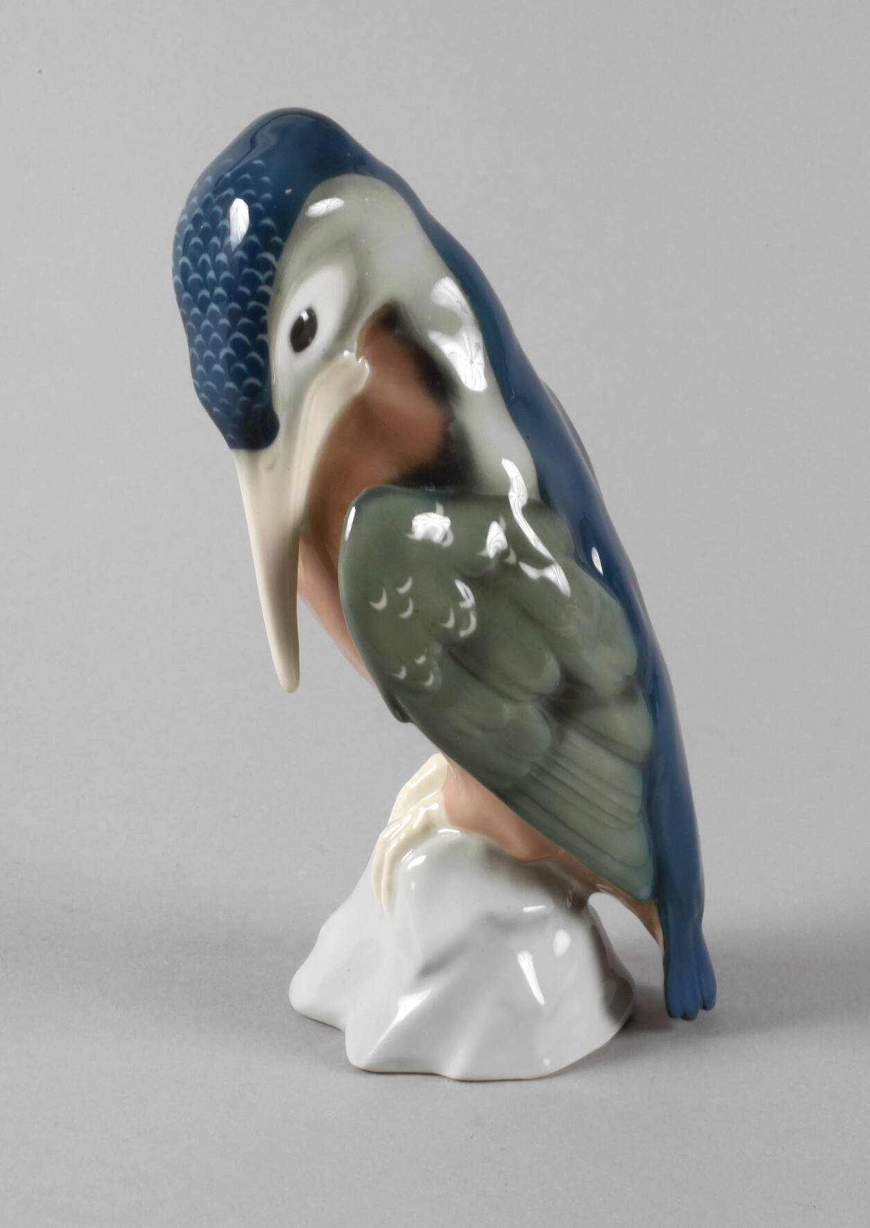 Galluba & Hofmann Ilmenau Eisvogel