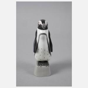 Heubach Lichte Pinguin