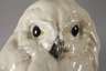 Heubach Lichte große "Schnee-Eule"