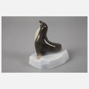 Heubach Lichte Seehund