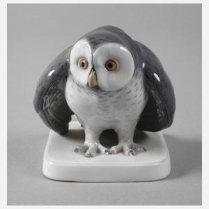 Metzler & Ortloff Ilmenau kleine Schneeeule