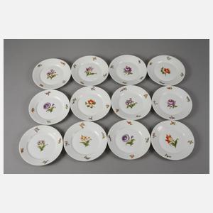 Nymphenburg Mokkaservice "Blume 1"