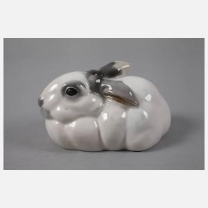 Rosenthal hockender Hase