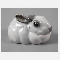 Rosenthal hockender Hase111