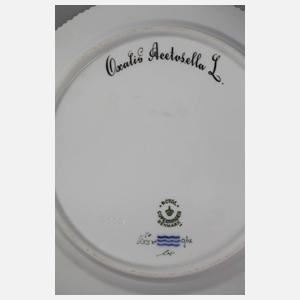 Royal Copenhagen Frühstücksteller "Flora Danica"