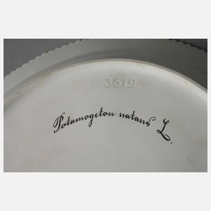 Royal Copenhagen Platte "Flora Danica" in Karton