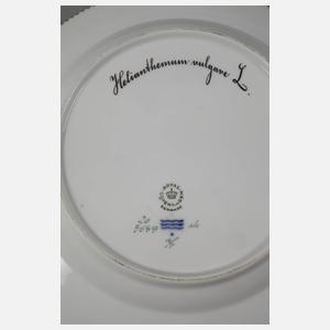 Royal Copenhagen Speiseteller "Flora Danica"
