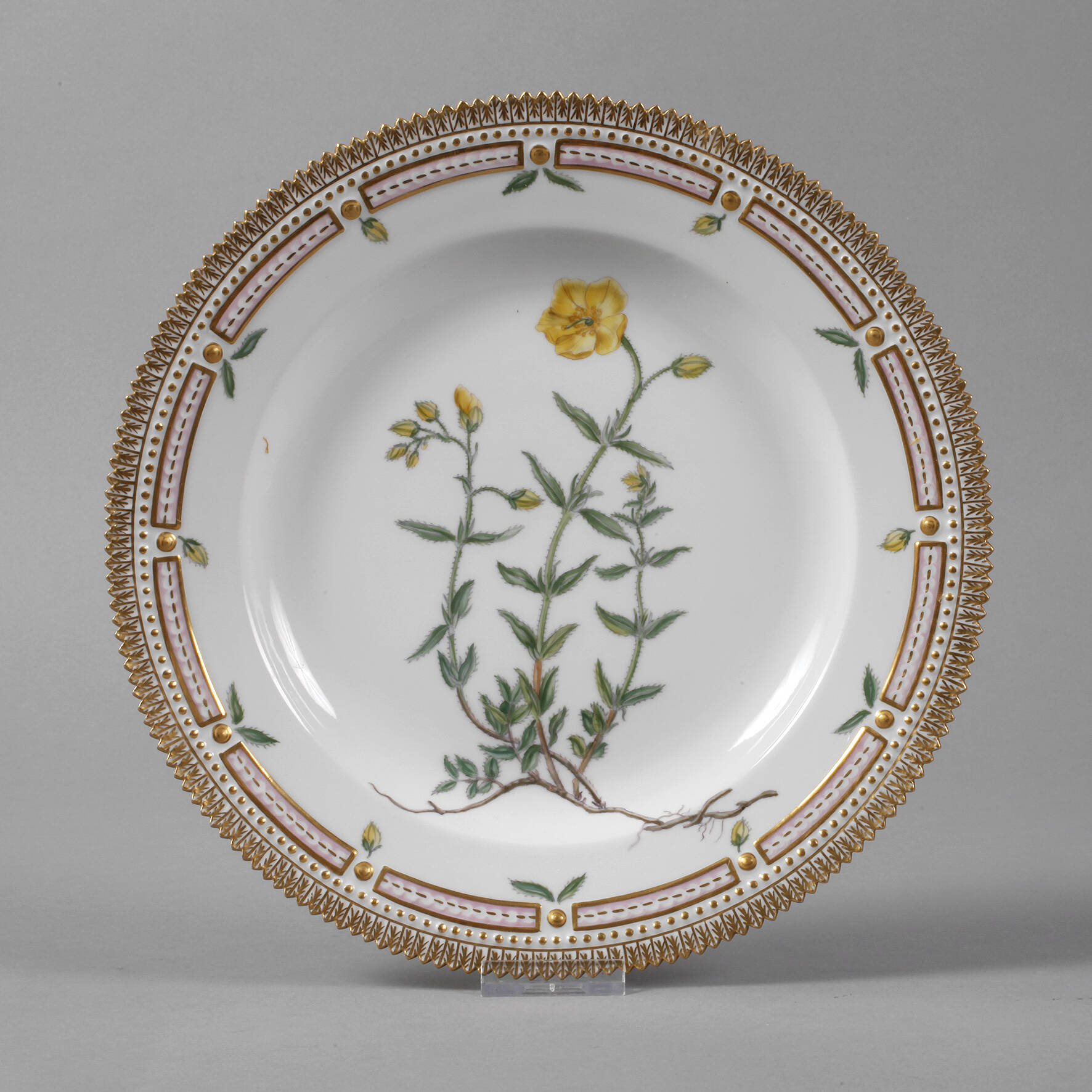 Royal Copenhagen Speiseteller "Flora Danica"