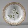 Royal Copenhagen Suppenteller "Flora Danica"