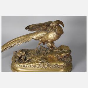 Jules Moigniez, Goldfasan