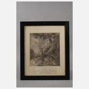 Johann Elias Ridinger, Jagd- und Tierdarstellungen