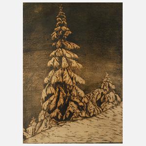 Ernst Precht, "Tanne im Schnee"