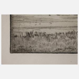 Prof. Hans Thoma, "Die junge Donau"