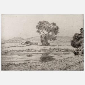 Prof. Hans Thoma, "Die junge Donau"