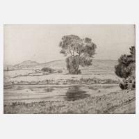 Prof. Hans Thoma, "Die junge Donau"111