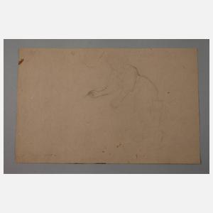 Konvolut Aktdarstellungen