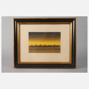 Werner von Boltenstern, Dorf mit Pferdekoppel