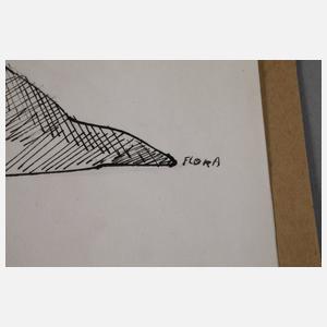 Prof. Paul Flora, "Prähistorisches Bayern"