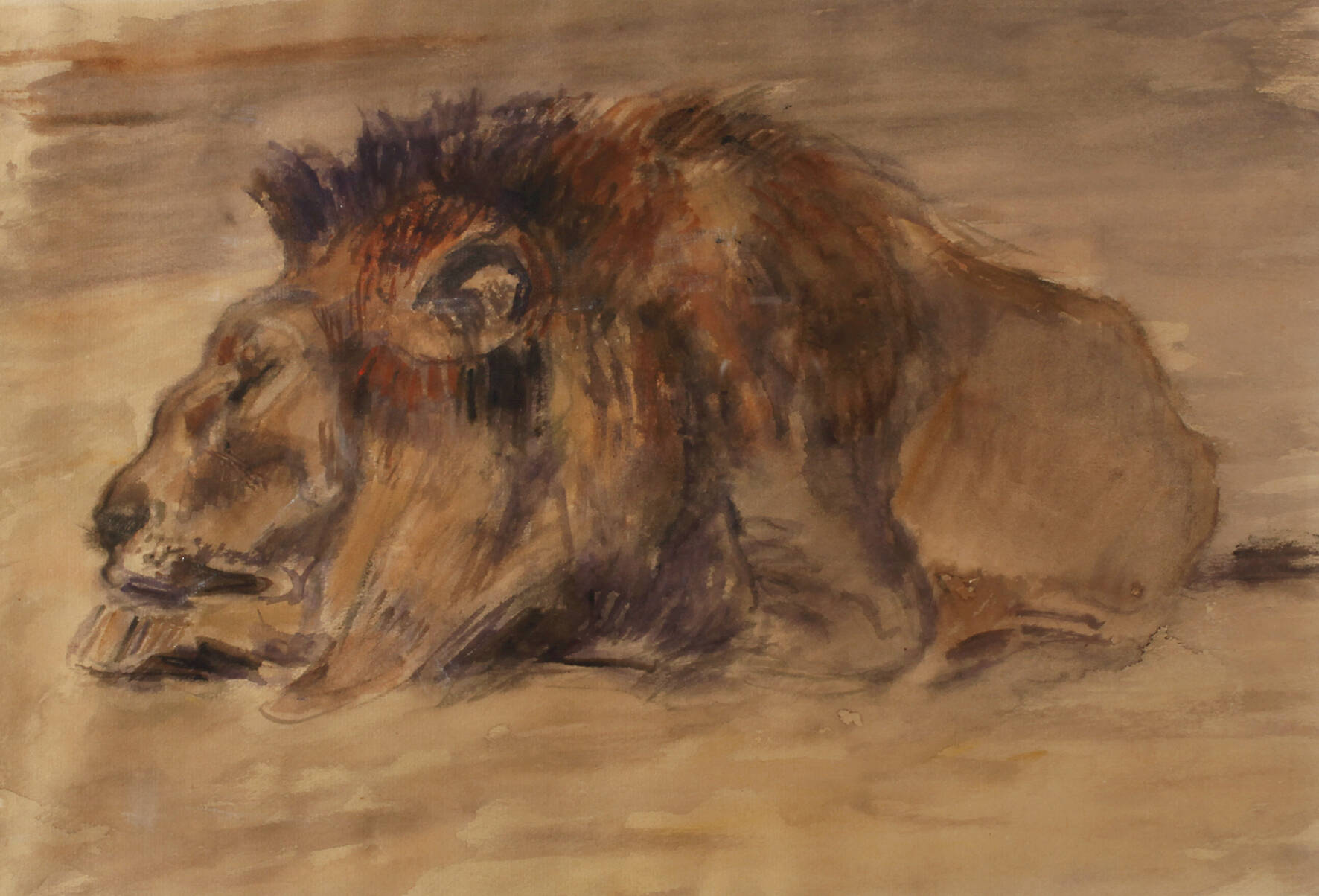 Fritz von Heider, attr., Ruhender Löwe