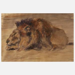 Fritz von Heider, attr., Ruhender Löwe