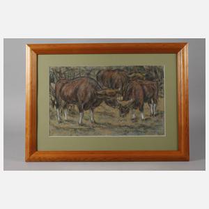 Fritz von Heider, Rinder