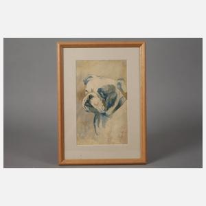 Portrait einer Dogge