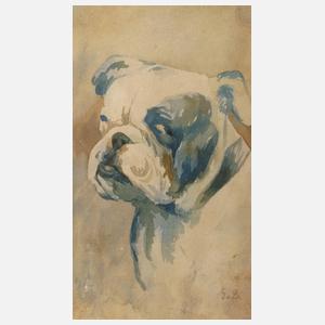 Portrait einer Dogge