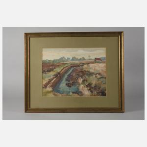 Sommer im Dachauer Moos