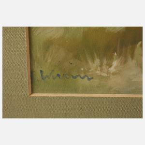 Sommer im Dachauer Moos