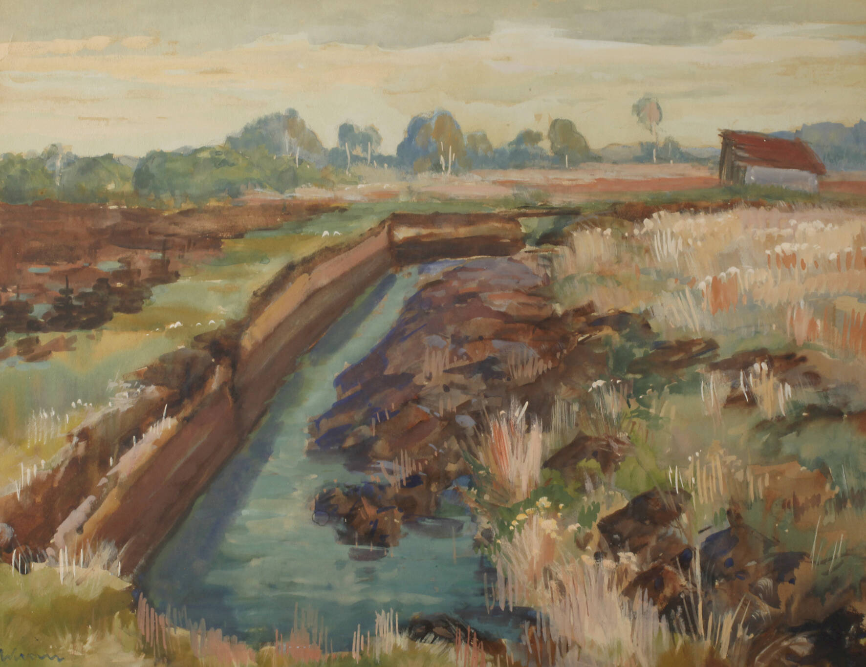 Sommer im Dachauer Moos