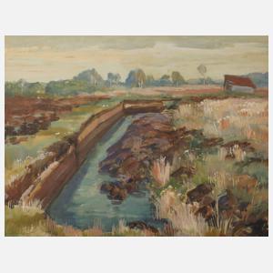 Sommer im Dachauer Moos