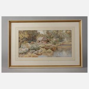 Am See in tropischer Landschaft