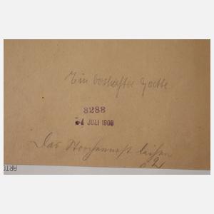 August Roeseler, "Ein boshafter Gatte"