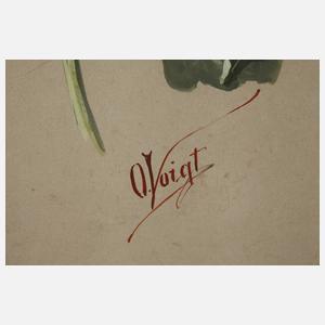 Otto Eduard Voigt, Paar Pflanzenstudien