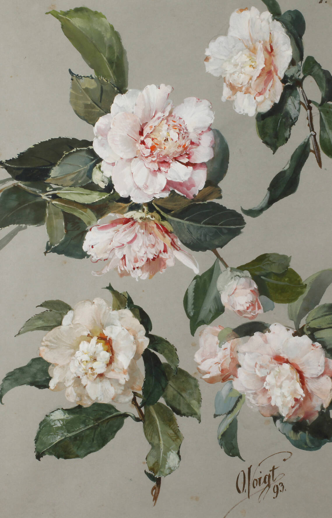 Otto Eduard Voigt, Rosenblüten