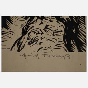 Prof. Erich Fraaß, Der Pflüger