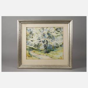 Kurt Geipel, Baumblüte